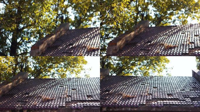 阳光斑驳，屋顶上留下阴影