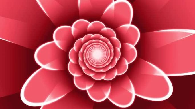 红色花卉螺旋循环动画背景
