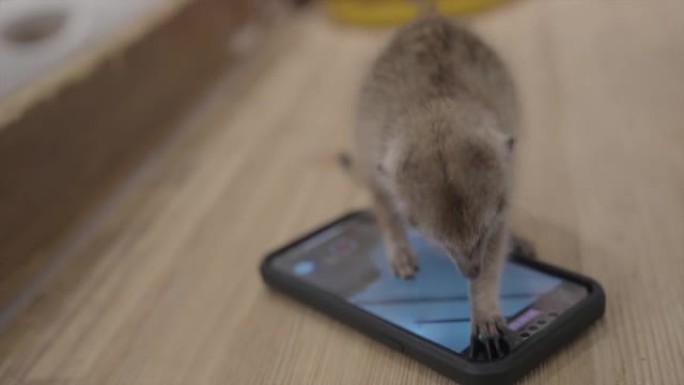 meerkat可以通过手机正面观看自拍