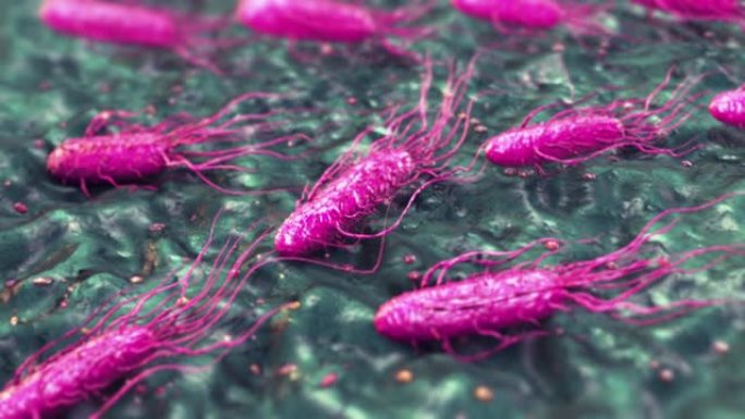 志贺氏菌三维病毒细菌细胞变异