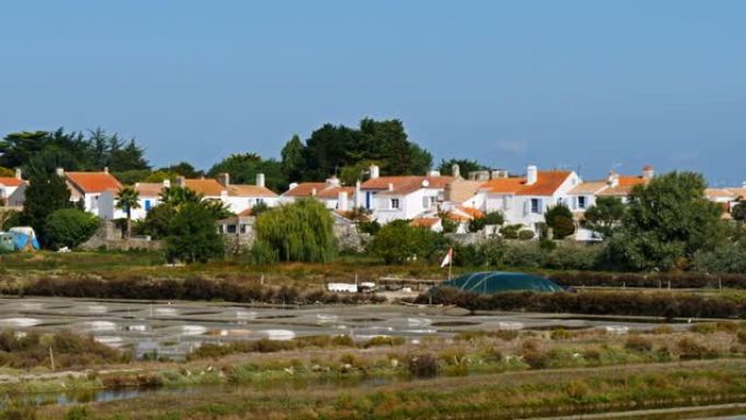 Noirmoutier-en-l'î le，Noirmoutier岛，比斯开湾，旺代，法国。