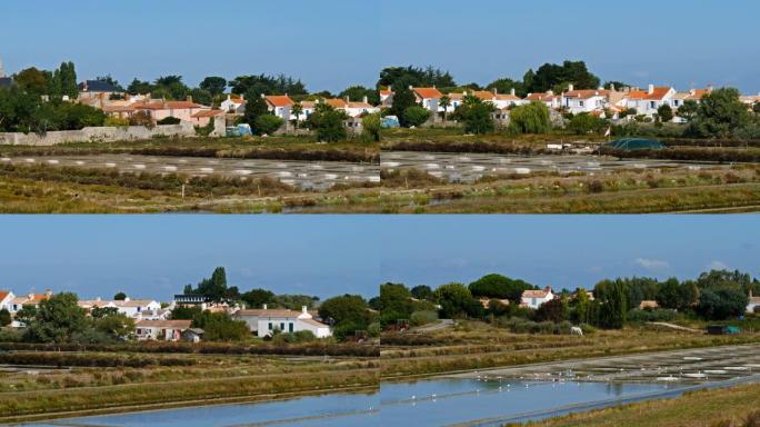 Noirmoutier-en-l'î le，Noirmoutier岛，比斯开湾，旺代，法国。