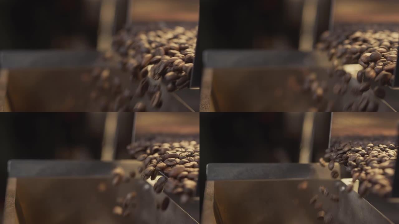 阿拉比卡咖啡豆正在工业输送机shaker上推广。制作和烘焙的特写镜头。芳香咖啡工业。