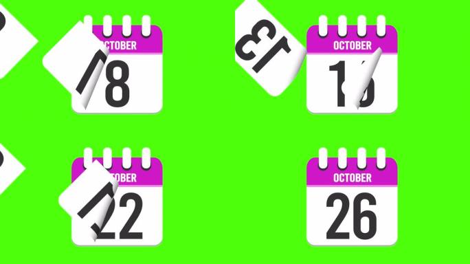 10月26日。日历出现，页面下降到10月26日。绿色背景，色度键 (4k循环)