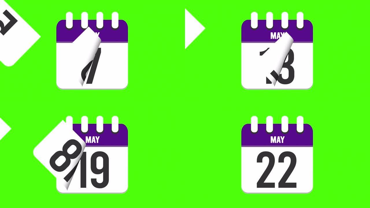5月22日。日历出现，页面下降到5月22日。绿色背景，色度键 (4k循环)