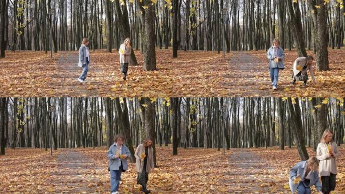 漂亮的女孩沿着小路前进，在森林里捡起黄色的枫叶。快乐的年轻女士们在秋季公园散步。美丽的自然景观，落叶