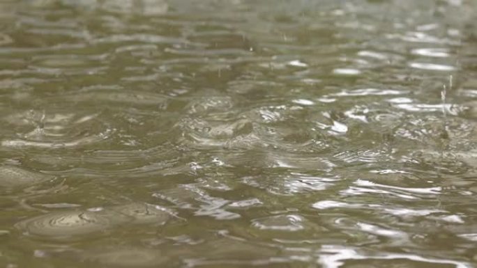 雨滴落在泥泞的水坑上