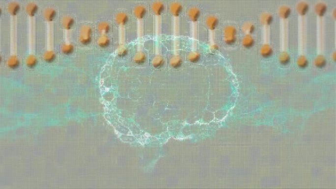 dna链和数字大脑在正方形上的动画