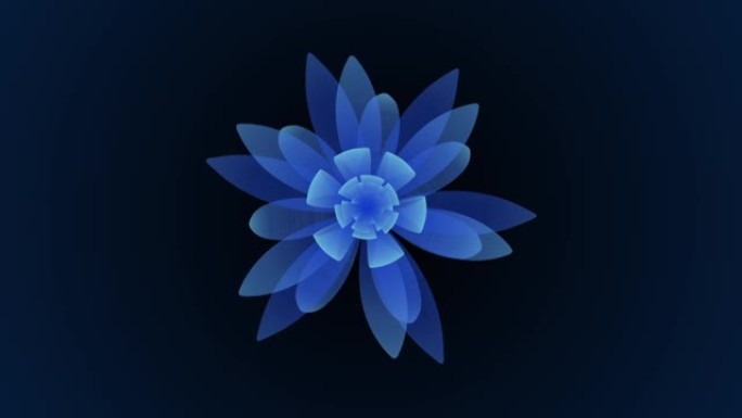 开启长开蓝花延时3d动画孤立背景新品质美丽假日自然花卉酷好看