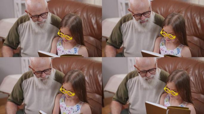 高角度视角的肖像集中的高加索老祖父和可爱的专注的孙女坐在家里慢动作看书。放松自信的男人和女孩享受爱好