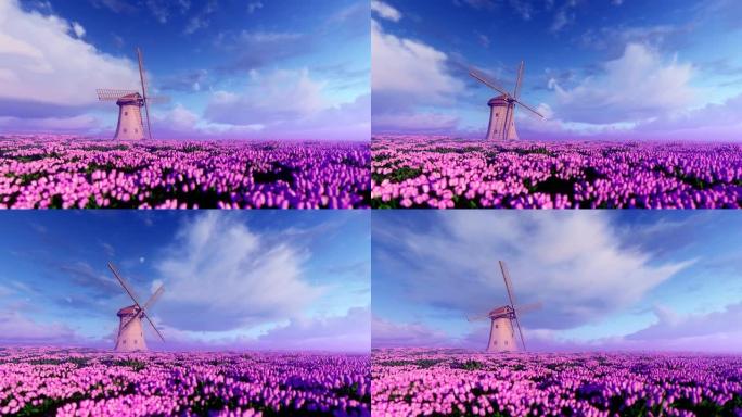 风车和紫色花朵的田野