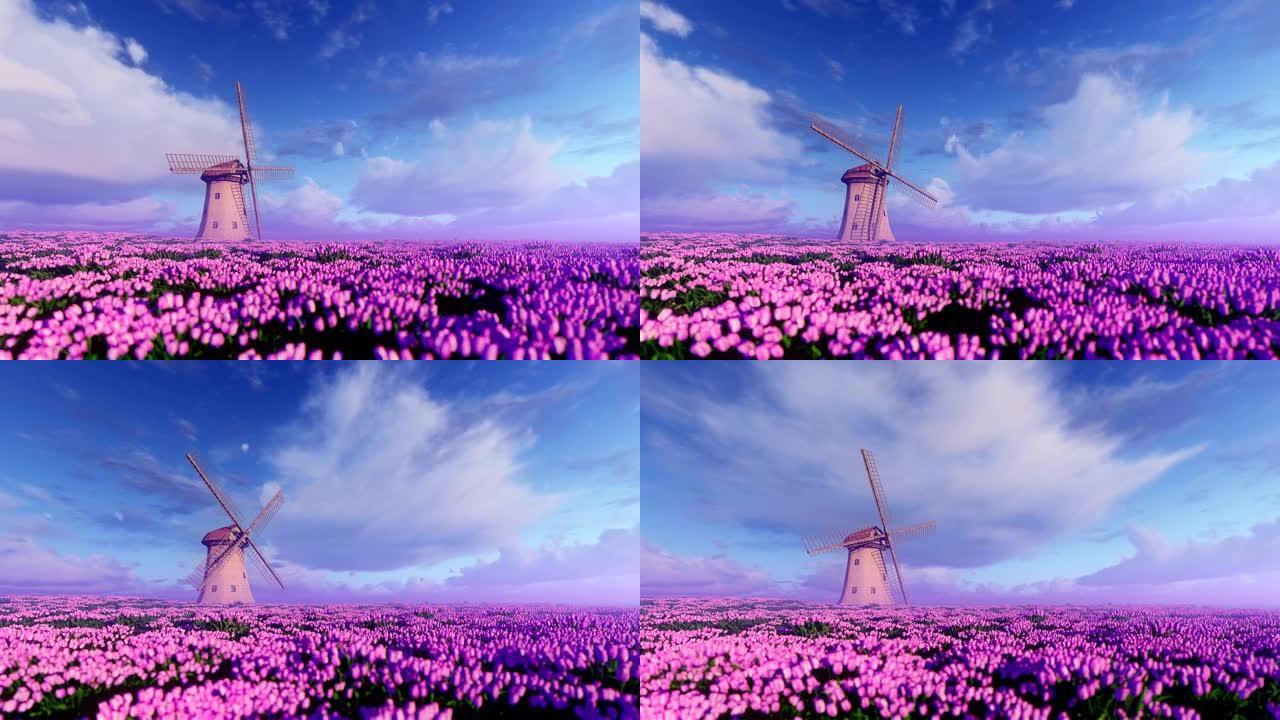 风车和紫色花朵的田野