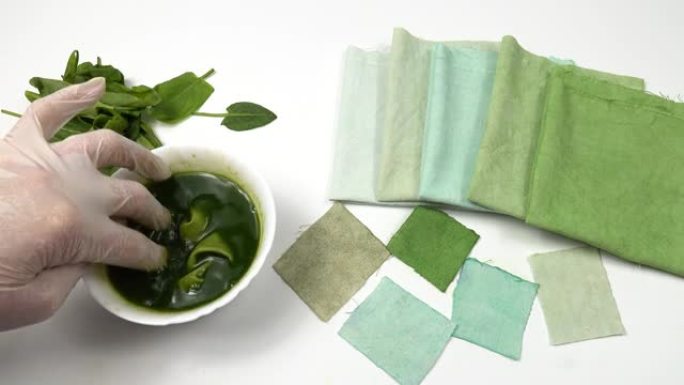 一碗栗色叶和栗色叶的水煎剂在棉织物样品上，呈绿色渐变，织物天然染色。