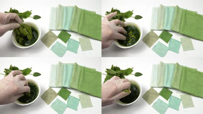 一碗栗色叶和栗色叶的水煎剂在棉织物样品上，呈绿色渐变，织物天然染色。