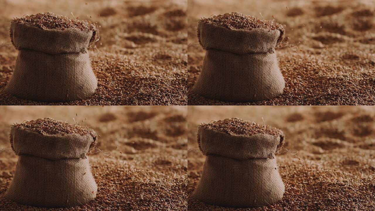 麦粒倒入酿造袋慢动作