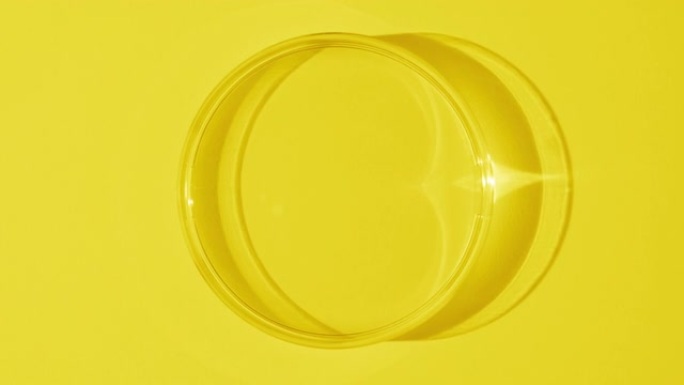 从黄色背景上的阴影中出现培养皿的俯视图