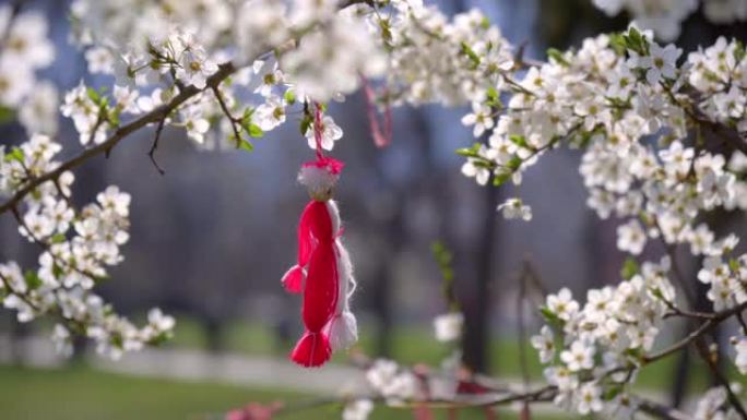 春天，一个红白相间的玩具人挂在盛开的树上的特写镜头