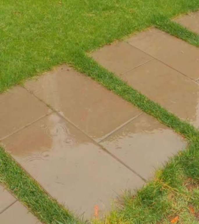 雨天在城市公园的垫脚石