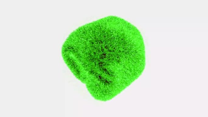 白色背景上有草的抽象球平滑地改变形状。生态学的概念。3D动画。