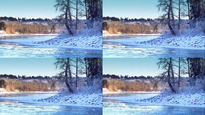 冬季的Bow河由加拿大艾伯塔省卡尔加里市西北象限的Bowness社区组成。