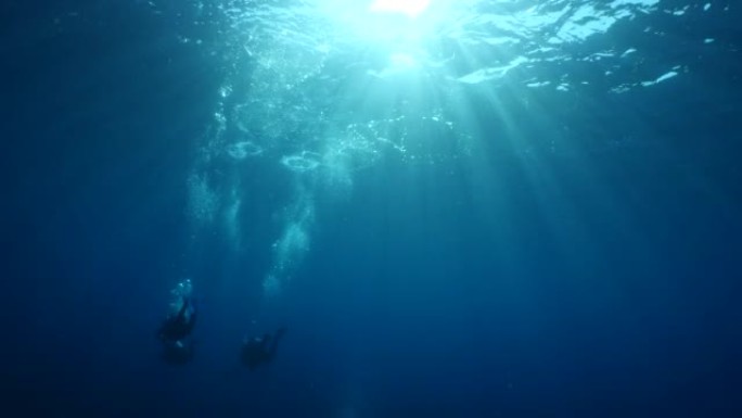 水下水肺潜水员与阳光和阳光在海洋风景水下剪影潜水员