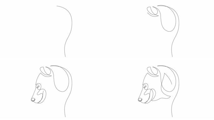 自画熊的单连续单线绘制简单动画。灰熊或黑熊手工绘制，白色背景上的黑线