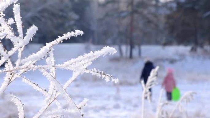 冬季场景，令人惊叹的冰冻自然，人们在美好的冬日在雪中行走。