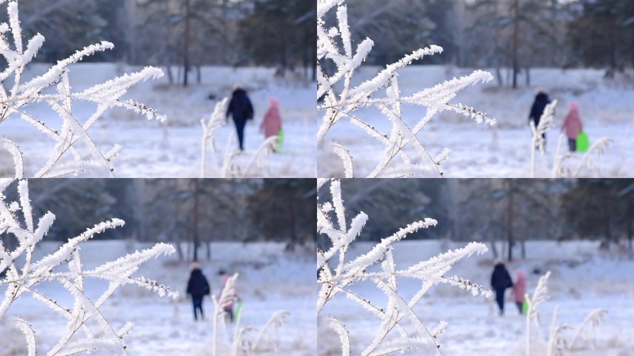 冬季场景，令人惊叹的冰冻自然，人们在美好的冬日在雪中行走。