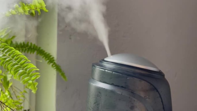 加湿器从低功率到高功率开始工作，然后在灰色墙壁背景上的绿色蕨类植物附近关闭。家用植物加湿器的水雾蒸汽