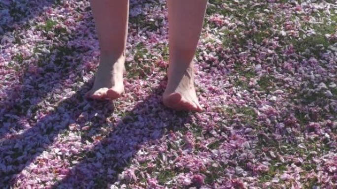 30年代女人的脚趾在樱花海中上下移动