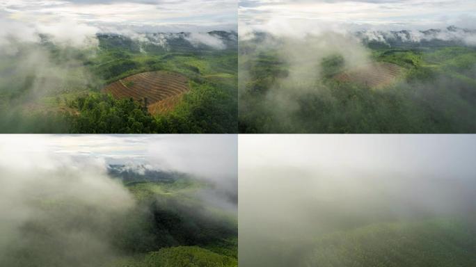 Hyper lapse视频4k，鸟瞰图美丽的晨光金色的日出和薄雾在高山上流动，宽隆山，纳塔韦市，宋卡