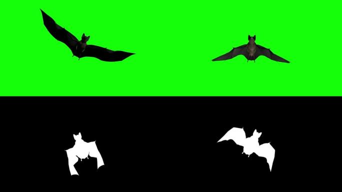万圣节蝙蝠在绿屏上飞行股票视频