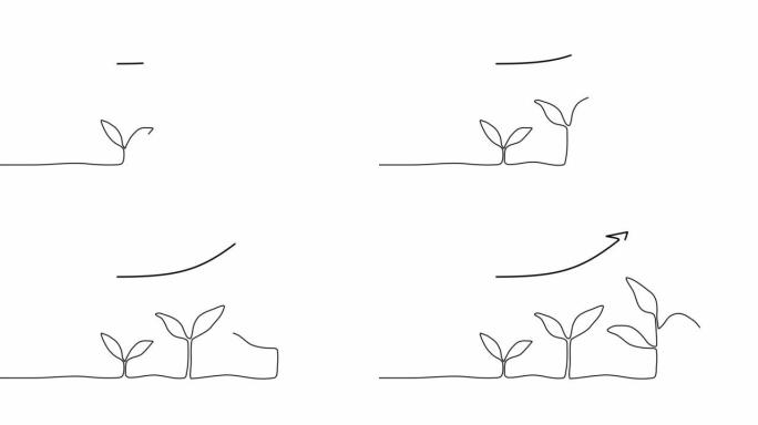 在白色背景上连续一行绘制植物发芽序列。自画动画。从种子树中手工绘制的步骤，简单的设计，艺术。增长概念