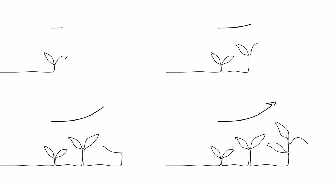 在白色背景上连续一行绘制植物发芽序列。自画动画。从种子树中手工绘制的步骤，简单的设计，艺术。增长概念