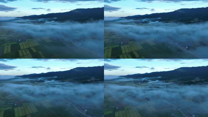 晨雾笼罩下的稻田和村庄