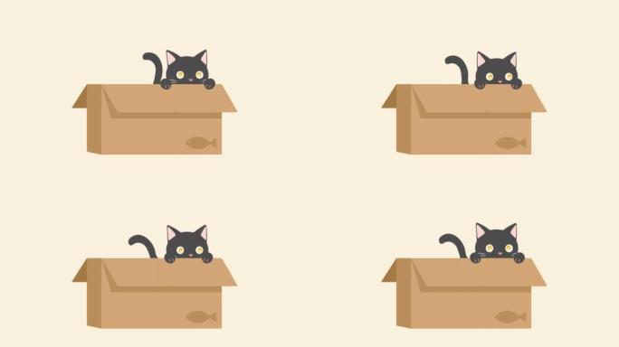 纸箱里可爱的黑猫。