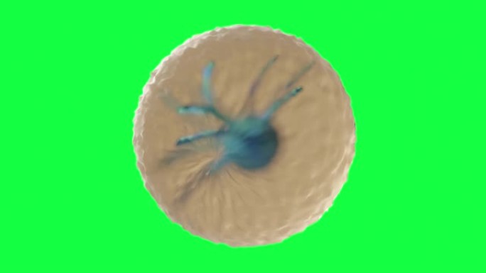 绿屏上癌细胞的3d动画