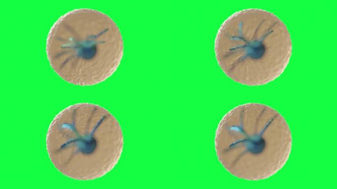 绿屏上癌细胞的3d动画