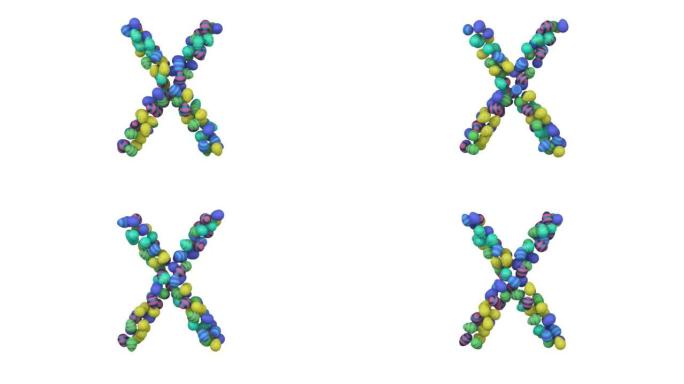 复活节彩蛋主题字体字母X