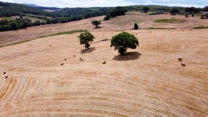 农业田间秸秆小麦卷的鸟瞰图