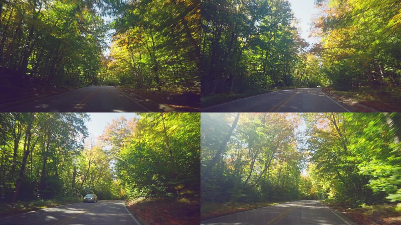驾驶秋季森林路