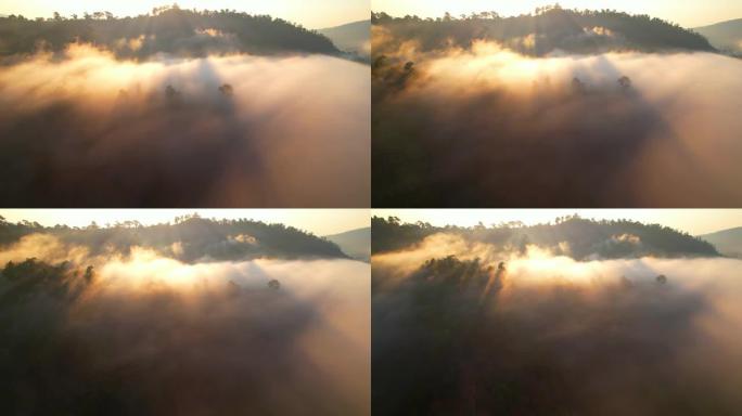 早晨森林中雾日出的4k鸟瞰图。运动中的自然背景。