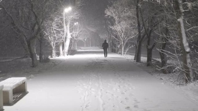 男人在冬天的夜晚走进公园