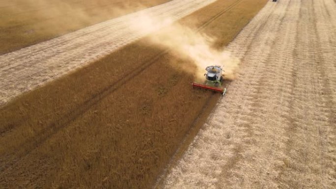 大型成熟麦田收获季节联合收割机的鸟瞰图。农业概念