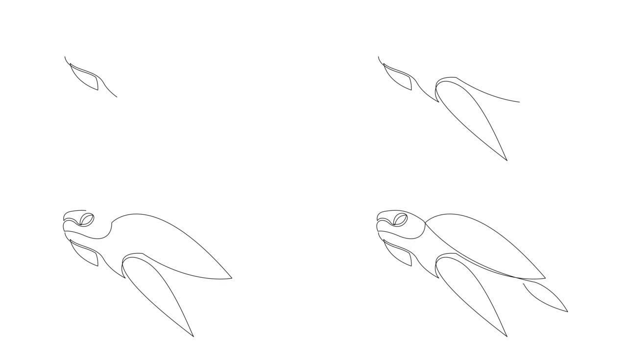海洋公司标志大海龟单线图动画。可爱的乌龟生物爬行动物概念为基础。连续线自画动画。全长运动