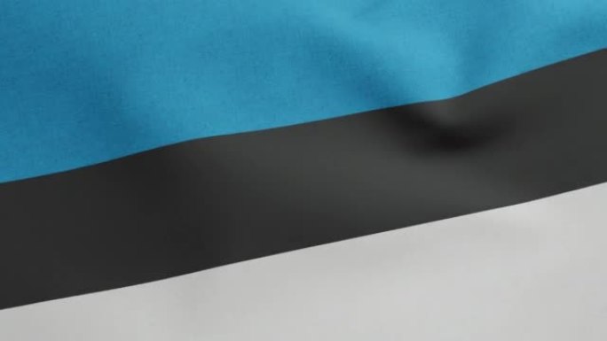 爱沙尼亚挥舞的国旗原始尺寸和颜色3D渲染，Eesti lipp是爱沙尼亚国旗纺织品，颜色是sinim