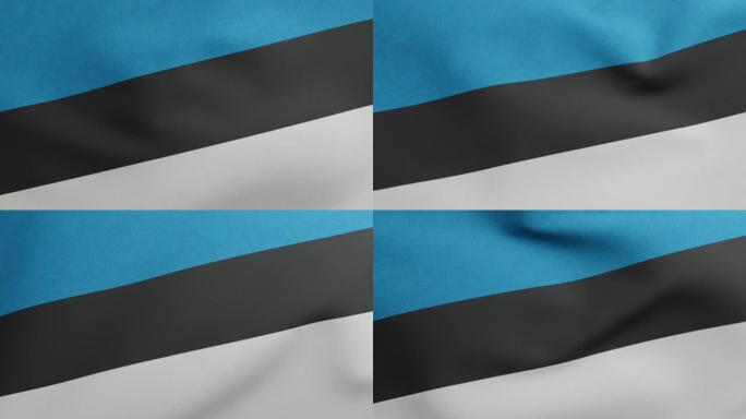 爱沙尼亚挥舞的国旗原始尺寸和颜色3D渲染，Eesti lipp是爱沙尼亚国旗纺织品，颜色是sinim