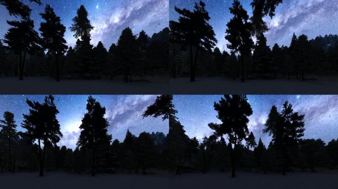 一片森林夜空降雪树林剪影视频素材