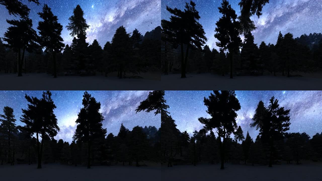 一片森林夜空降雪树林剪影视频素材