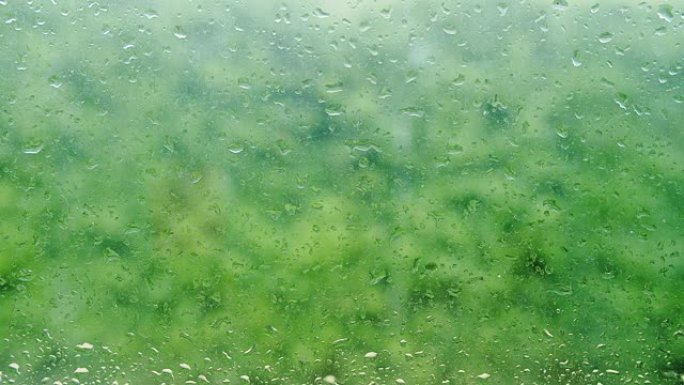雨季窗户玻璃上的水滴特写，落空的雨水落在绿色自然背景上